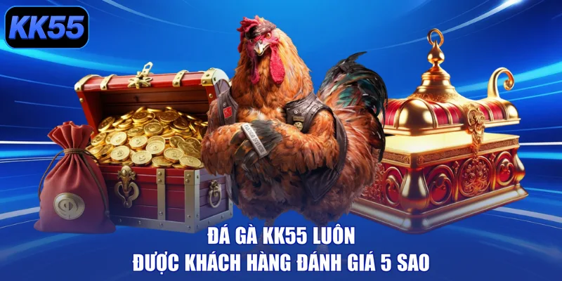 Đá gà KK55 luôn được khách hàng đánh giá 5 sao